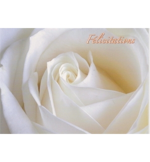 Carte "Félicitations"