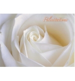 Carte "Félicitations"