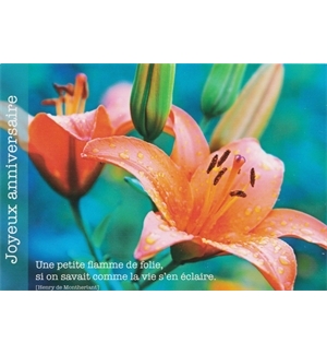 Carte "Anniversaire"