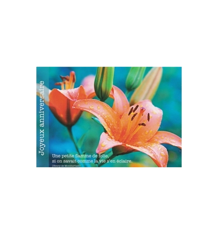 Carte "Anniversaire"