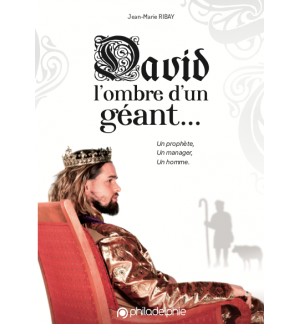 David l'ombre d'un géant... - Jean-Marie Ribay