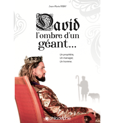 David l'ombre d'un géant... - Jean-Marie Ribay