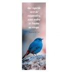 Signet Oiseau bleu et rouge