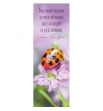 SIGNET Coccinelle sur une fleur rose