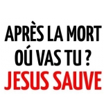 Autocollant Après la mort où vas-tu ? Jesus sauve 10x15cm 