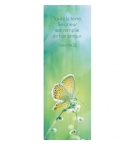 Signet papillon sur une branche