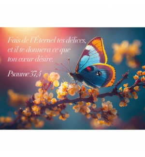 MINI CARTE Papillon sur branche fleurie