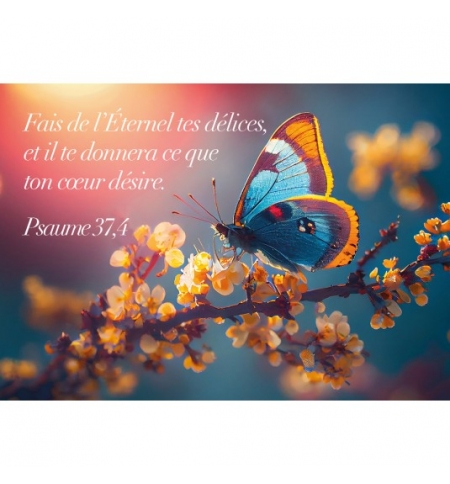 MINI CARTE Papillon sur branche fleurie