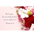 MINI CARTE Fleurs sur fond rose