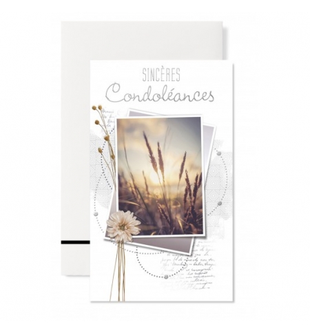 Carnet sincères condoléances Feuillage beige et gris