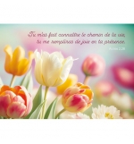 Carte avec verset Tulipes multicolores