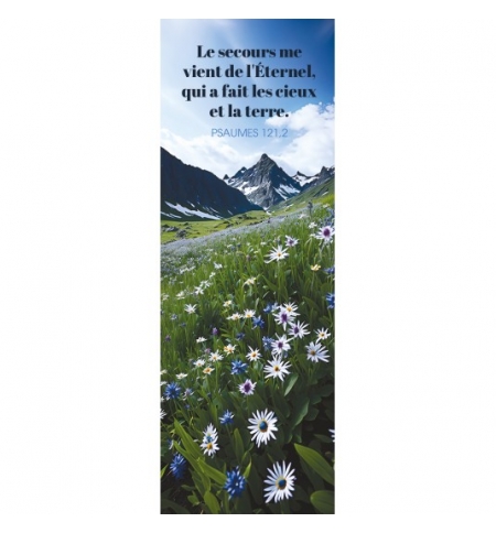 Signet Champ de fleurs blanches et bleues dans les montages