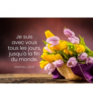 MINI CARTE Panier de tulipes