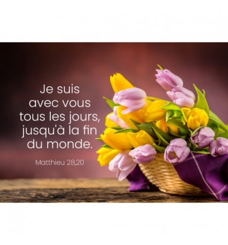 MINI CARTE Panier de tulipes