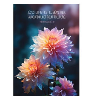 Carte Avec Fleurs multicolores sur fond flou