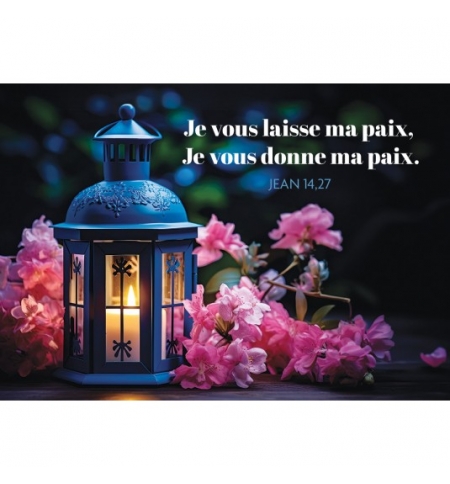 Mini-carte Lanterne et fleurs roses sur une table