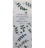  Signet Tiges et Baies Avec Verset Esaie43v19