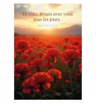 Mini-carte Champ d'œillets rouges au lever du soleil