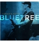 Worship & justice - Bluetree