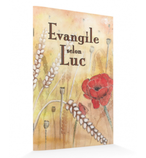 Évangile selon Luc - FORMAT 10x15 CM