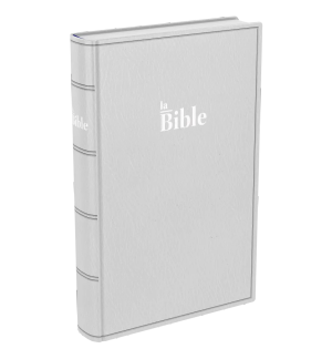 Bible Darby format standard, souple gris