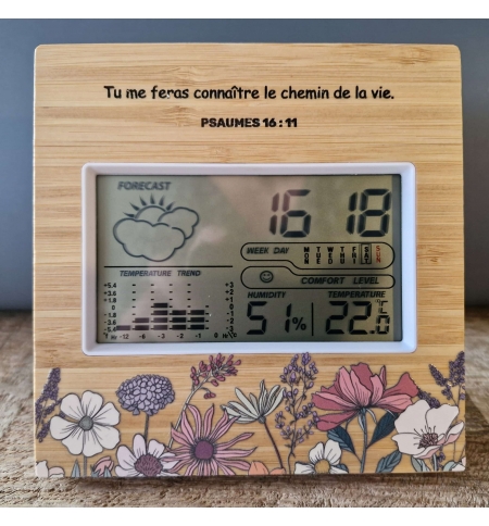 Station météo Psaumes 16 : 11