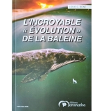L'incroyable "évolution" de la baleine - Louis C. Boné