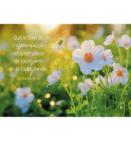 Carte Avec Verset Fleurs blanches dans un pré