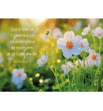 Carte Avec Verset Fleurs blanches dans un pré