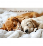 Carte Avec Verset Chiots et chaton qui dorment sur une couverture blanche