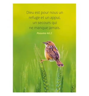 Carte Avec Verset Oiseau perché sur des épis de blé