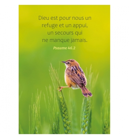 Carte Avec Verset Oiseau perché sur des épis de blé
