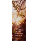 Signet Soleil dans Arbustre