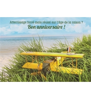 Carte "Anniversaire"