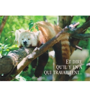 Carte "Divers"