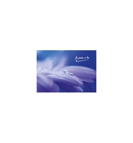 Carte Avec Message Goutte d'eau sur une fleur...
