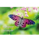 Mini Carte Papillon rose et violet posé sur une fleur