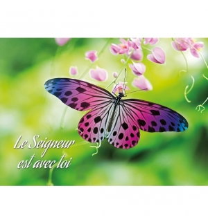 Mini Carte Papillon rose et violet posé sur une fleur