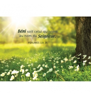 Mini-carte avec des fleurs blanches près d'un arbre