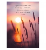 Carte Citation Couchant sur herbes