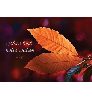 Jolie carte de condoléances avec des feuilles en automne.