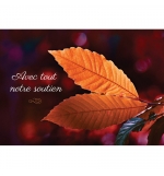 Jolie carte de condoléances avec des feuilles en automne.