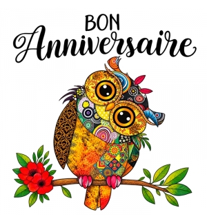 Carte Double Carre Anniversaire Hibou sur une branche