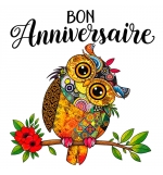 Carte Double Carre Anniversaire Hibou sur une branche
