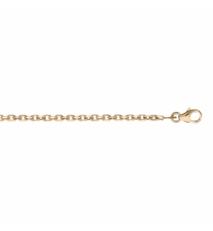 CHAINE FORCAT 2.3MM 50CM PLAQUÉ OR