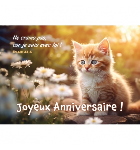 Carte avec verset  Chaton au milieu de fleurs blanche