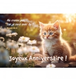 Carte Anniversaire avec verset  Chaton au milieu de fleurs blanche