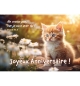 Carte avec verset  Chaton au milieu de fleurs blanche