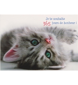 Carte Anniversaire