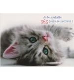 Carte Anniversaire